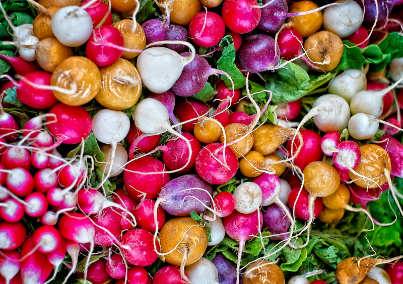 Baby Radish