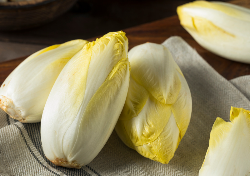 Belgian Endive